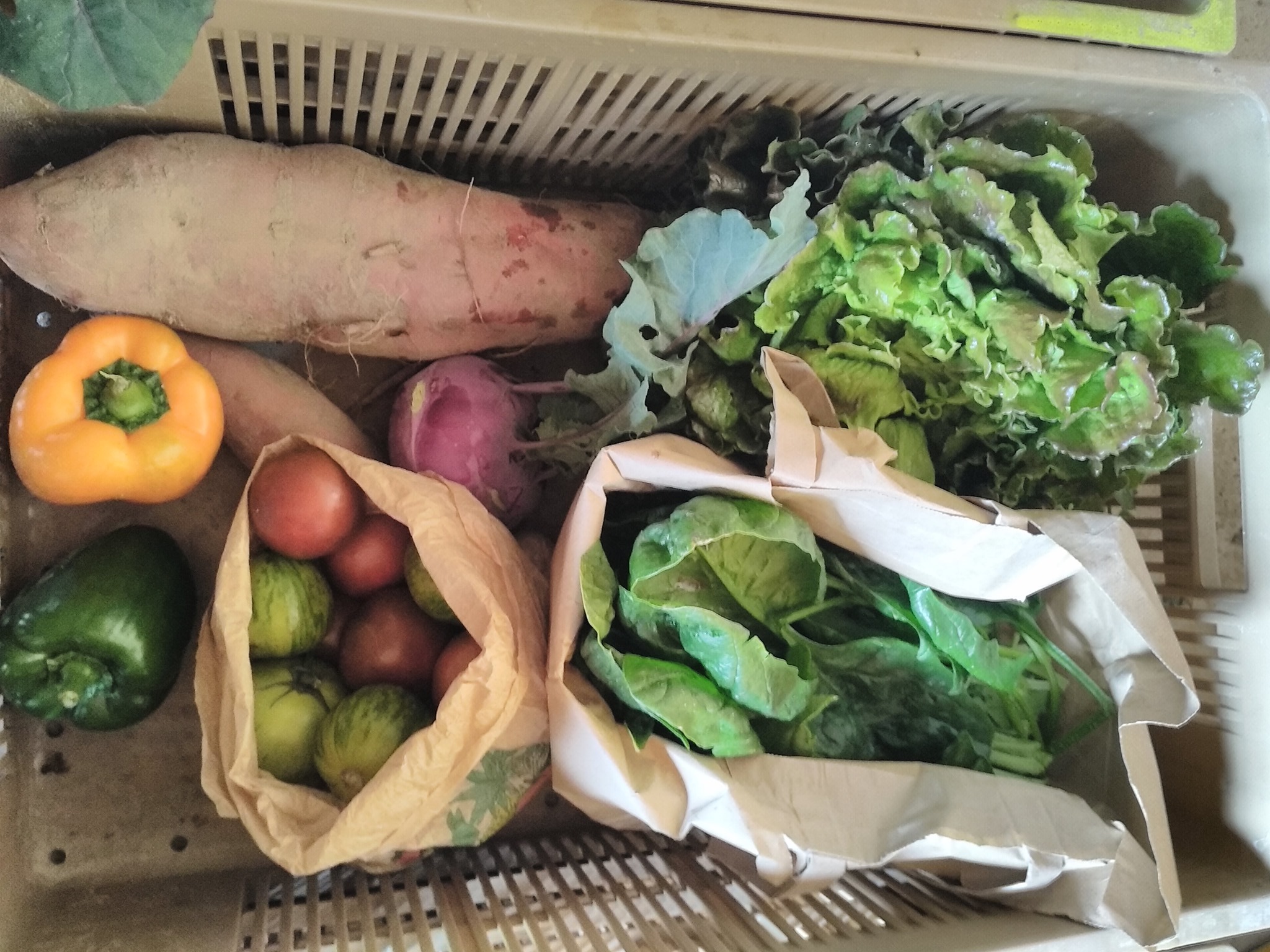 Panier de légumes